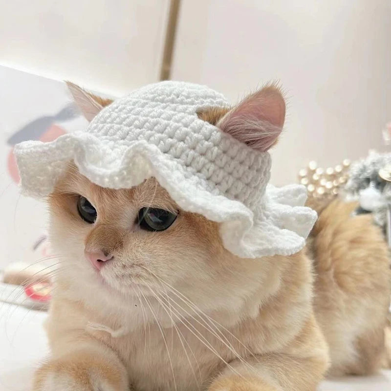 Cute hats for your cat