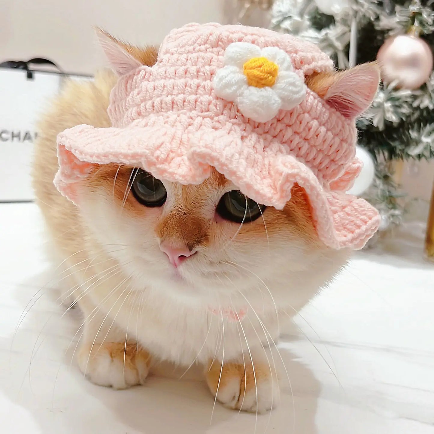 Cute hats for your cat