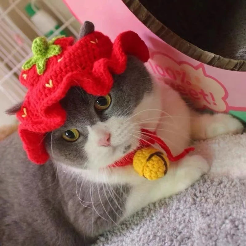 Cute hats for your cat