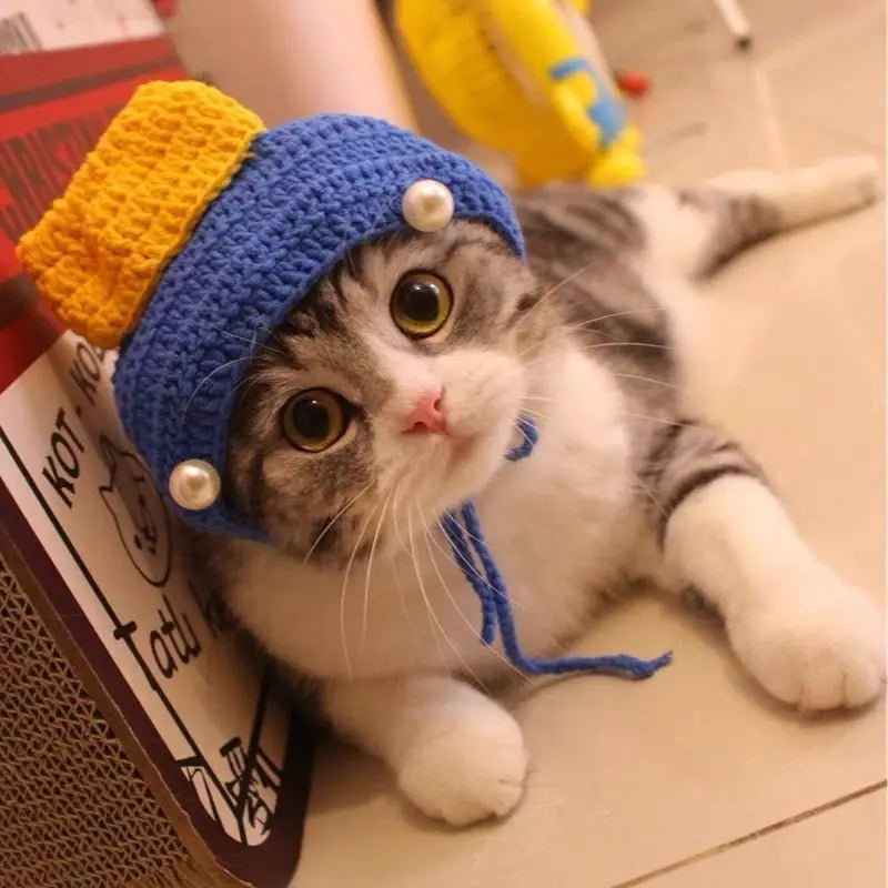 Cute hats for your cat