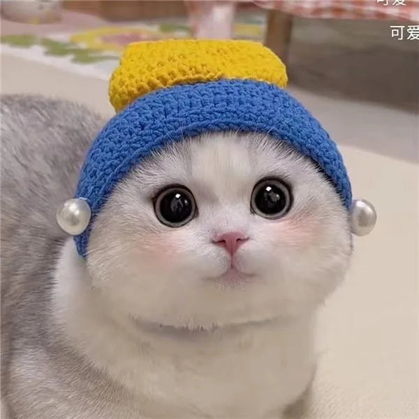 Cute hats for your cat