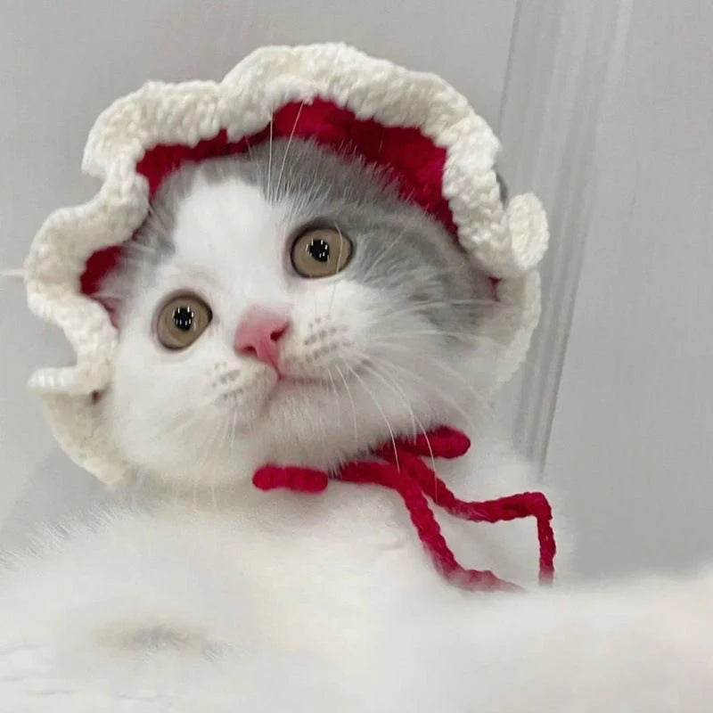 Cute hats for your cat