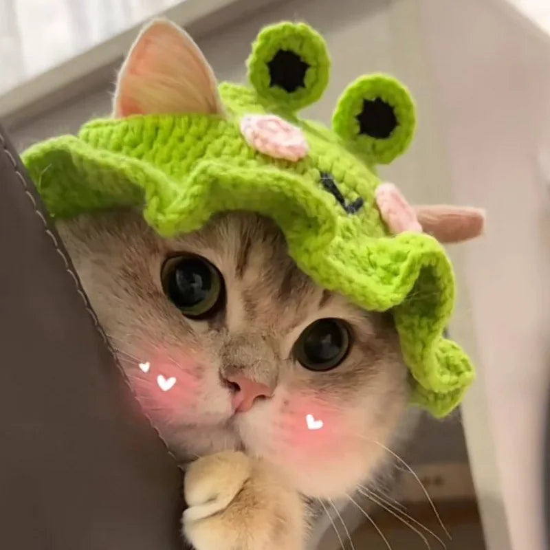 Cute hats for your cat