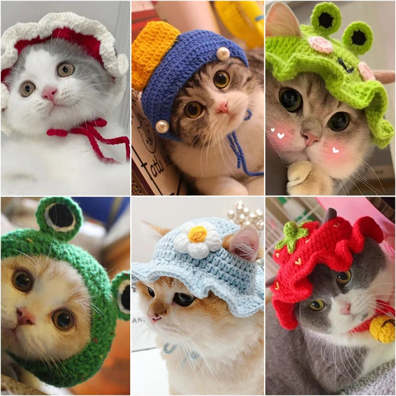 Cute hats for your cat