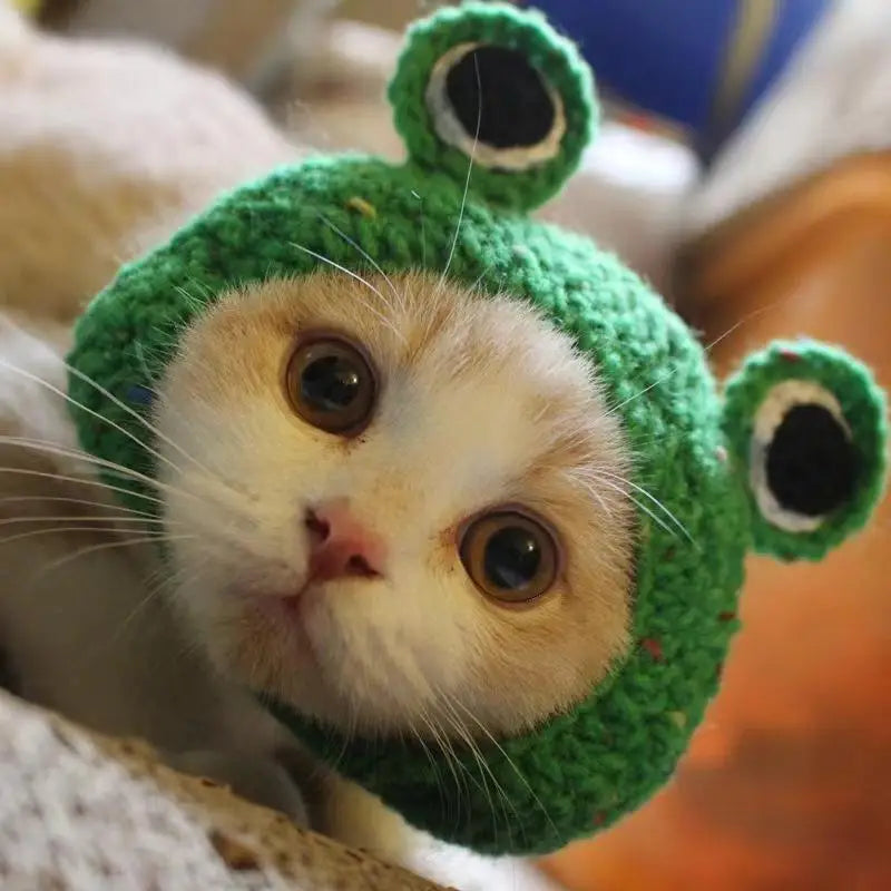 Cute hats for your cat