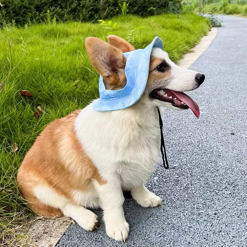 Pets Hat with Ear Holes
