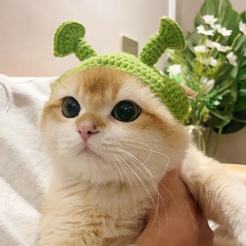 Cute hats for your cat