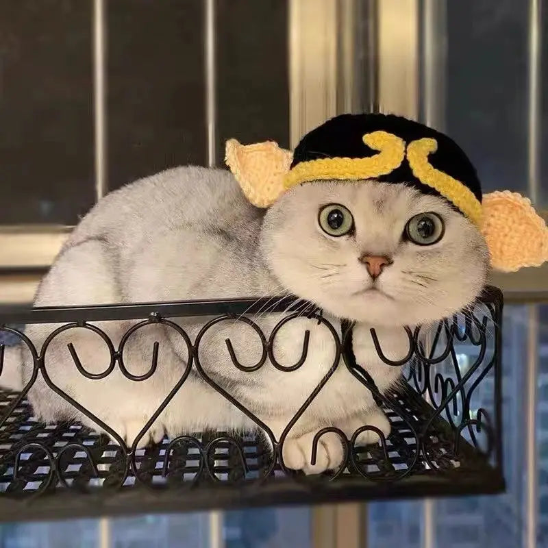 Cute hats for your cat