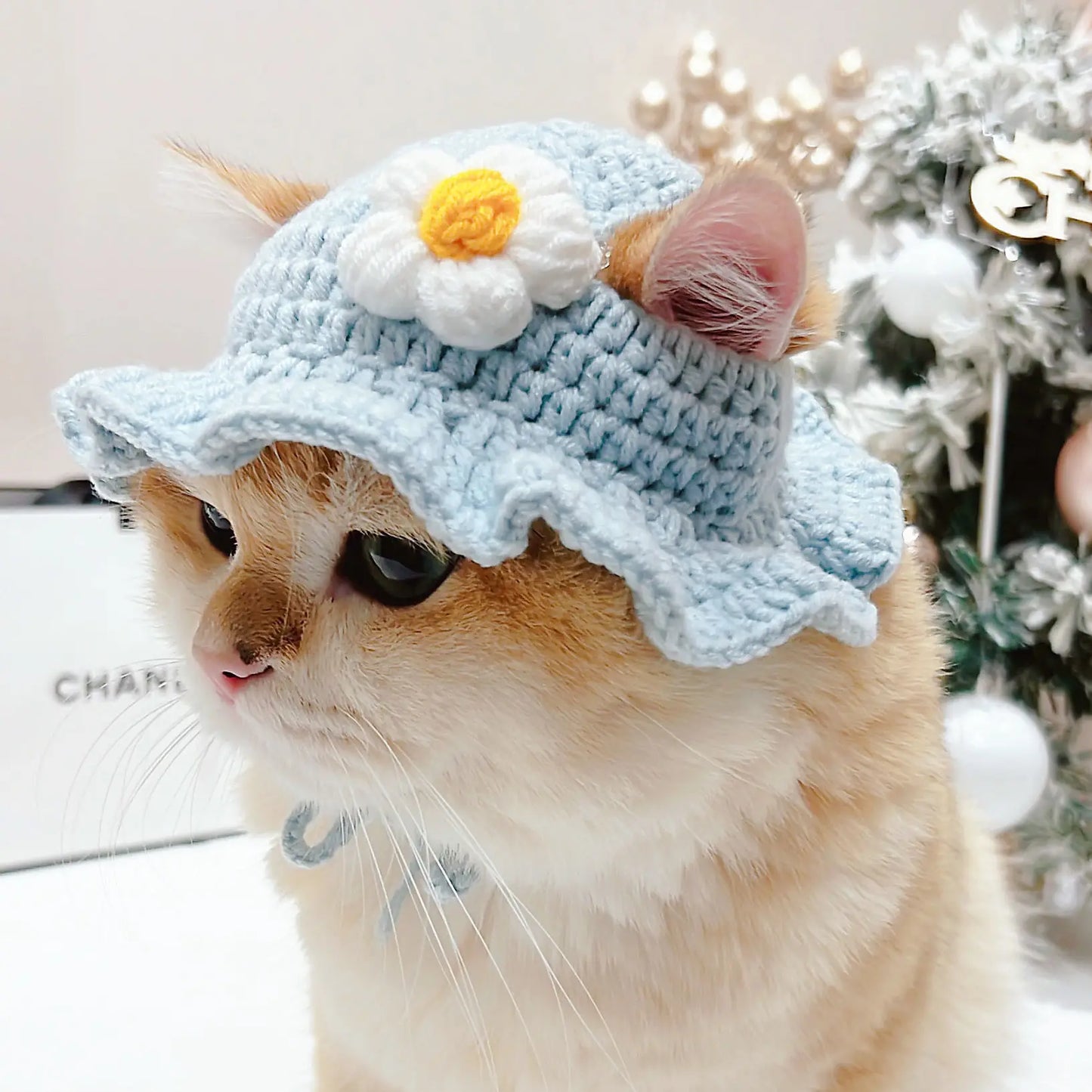 Cute hats for your cat