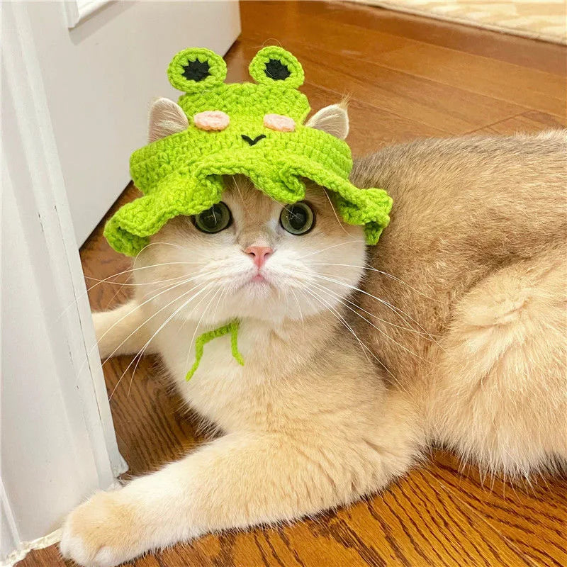 Cute hats for your cat